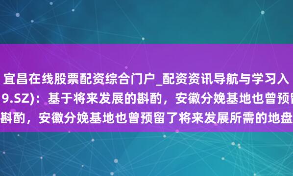 宜昌在线股票配资综合门户_配资资讯导航与学习入口 聚杰微纤(300819.SZ)：基于将来发展的斟酌，安徽分娩基地也曾预留了将来发展所需的地盘储备