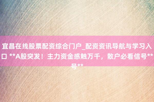 宜昌在线股票配资综合门户_配资资讯导航与学习入口 **A股突发！主力资金感触万千，散户必看信号**
